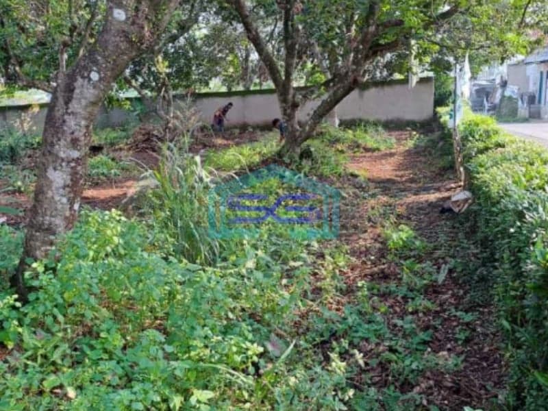 Dijual Tanah di Area Ciampea Bogor Lokasi Strategis Pinggir Jalan SHM
