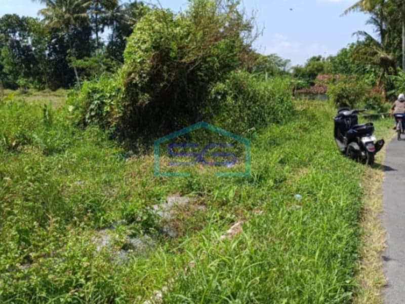 Dijual Tanah di Widodomartani Ngemplak, Sleman LT 12.000 m2