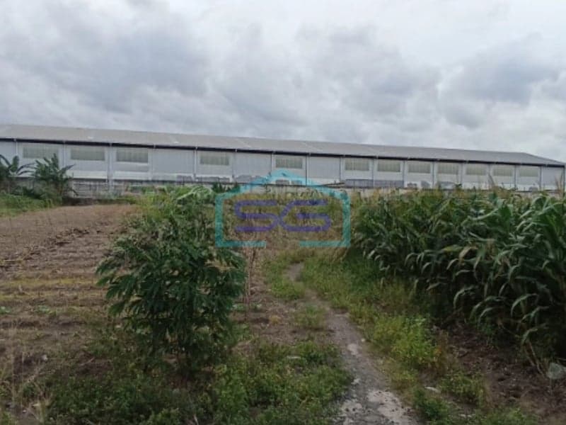 Land for Lease on Arteri Kaliwungu, Kendal Central Java 10000 m²