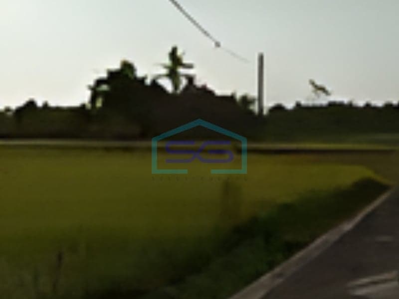 Disewakan Tanah View Keren di Beraban Tabanan Bali Luas Tanah 1600m2