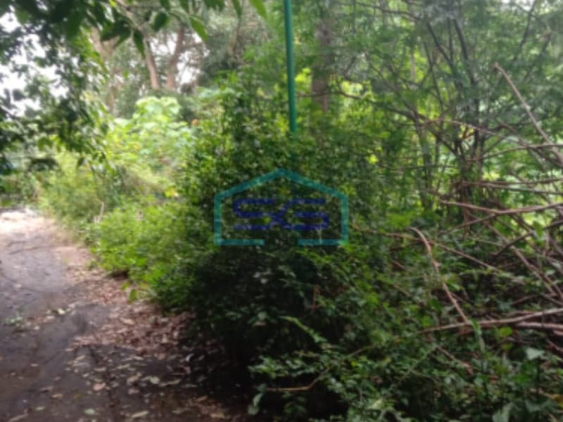 Dijual Tanah di Gadingsari Sanden, Bantul LT 3.400 m2