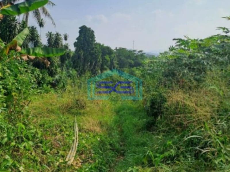 Dijual Tanah Di Rumpin Bogor Jawa Barat Luas 1400m2