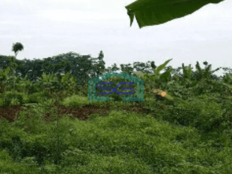 Dijual Tanah Kosong  di Semarang LT 50000m2