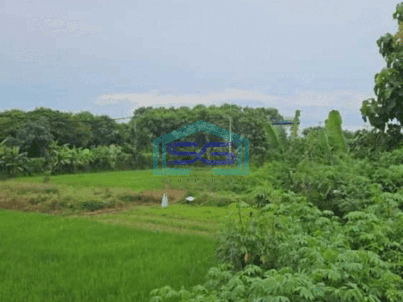 Dijual Gudang Jaten Karanganyar Luas Tanah 10000m2