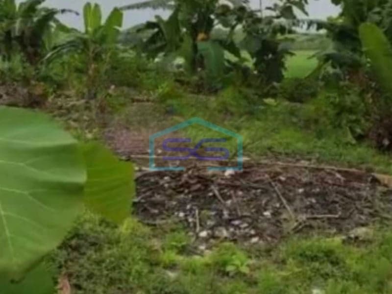 For Sale: Large Land 10000 sqm in Purwodadi, SHM Certificate
