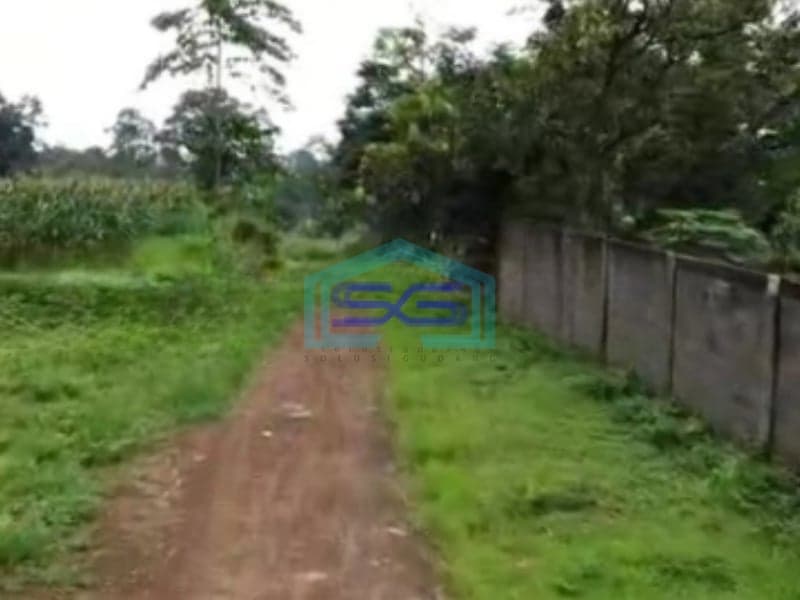 Dijual Tanah Uruk Daerah Gunting Sukorejo Pasuruan Jawa Timur LT 70 Hektar