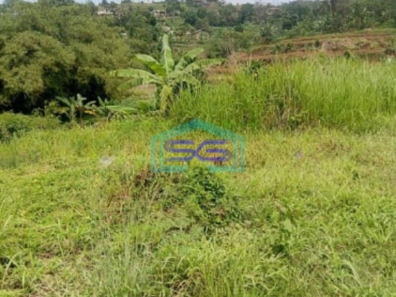 Dijual Tanah Jalan Terobosan Cipayung Puncak Megamendung Bogor LT 2500m2