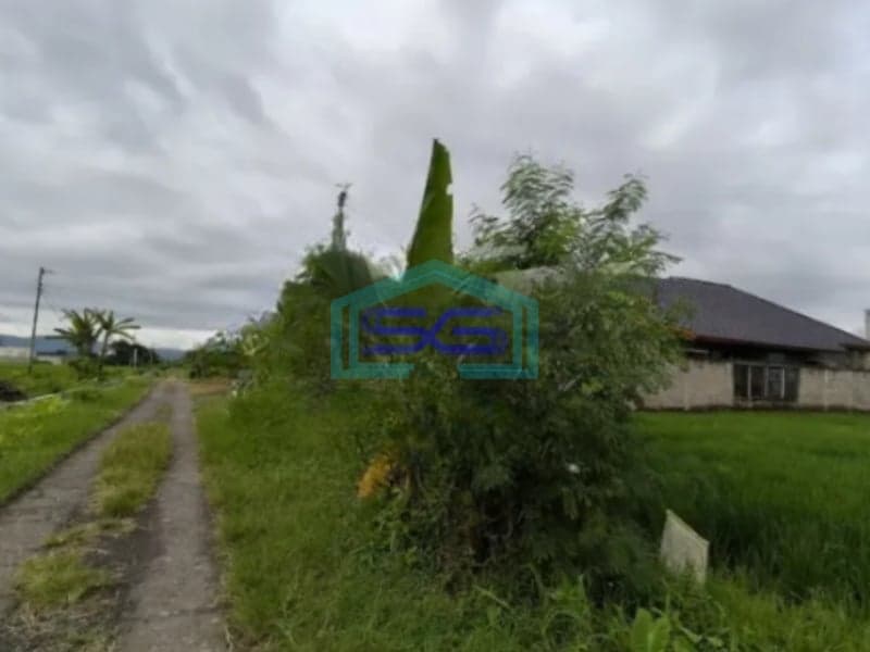 Dijual Tanah Luas 1225m2 SHM di Jamusan Prambanan Sleman Yogyakarta