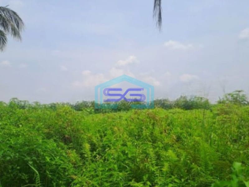 Dijual Tanah Lokasi di Pamijahan Bogor Luas Tanah 77000m2