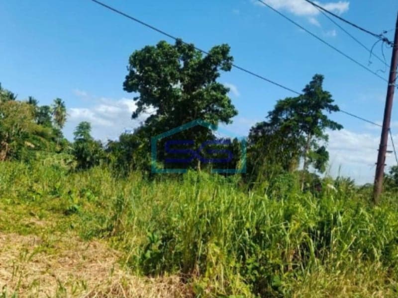 Dijual Tanah Harga Miring di Ujung Ring Road 2. Manado Dengan Luas 110000 m²