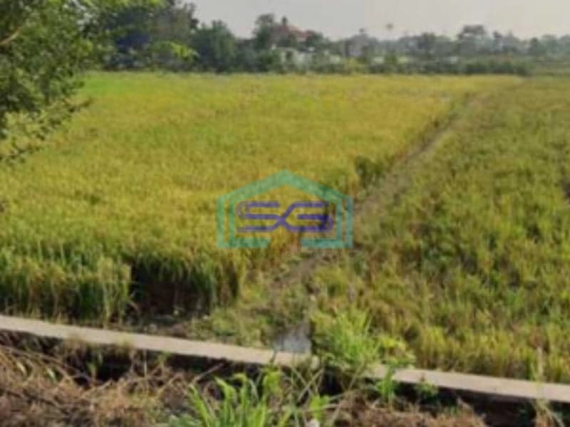 Dijual Tanah Zona Industri Lokasi Delanggu Klaten Jawa Tengah Luas 50000m2