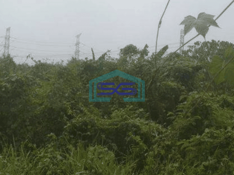 Dijual Tanah Luas  10000 m² di Petir Tangerang