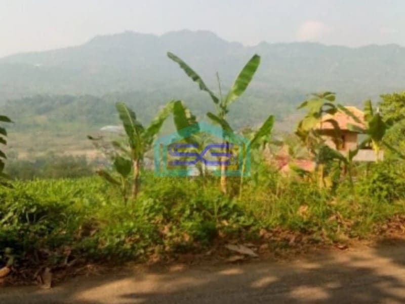 Dijual Tanah di Desa Cibadak Tanjung Sari Bogor Timur LT 10 Hektar