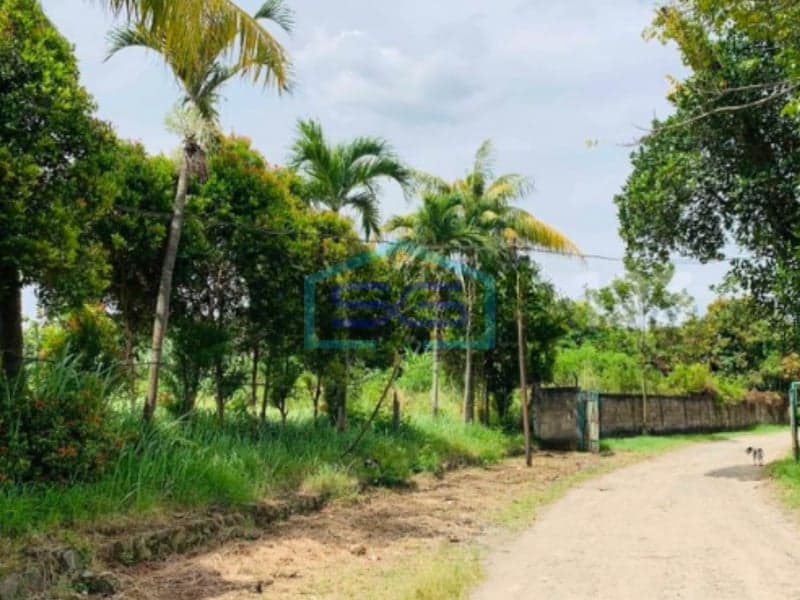 Dijual Tanah Kavling 4.5 Ha Cocok Pergudangan Dekat Airport Soetta Periuk, Tangerang