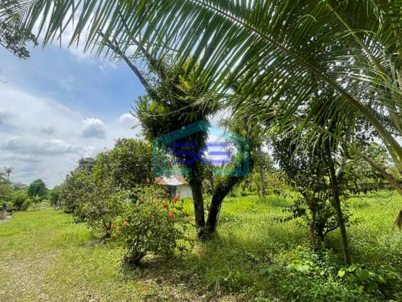 Dijual Cepat Tanah Strategis Siap Pakai di Jalan Mayor Zen Pusri Palembang LT 14521m2