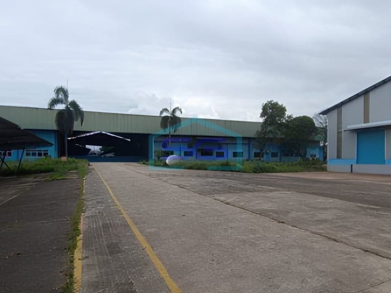 出租金兰吉工厂占地5公顷，建筑面积2.8公顷 - 新仓库