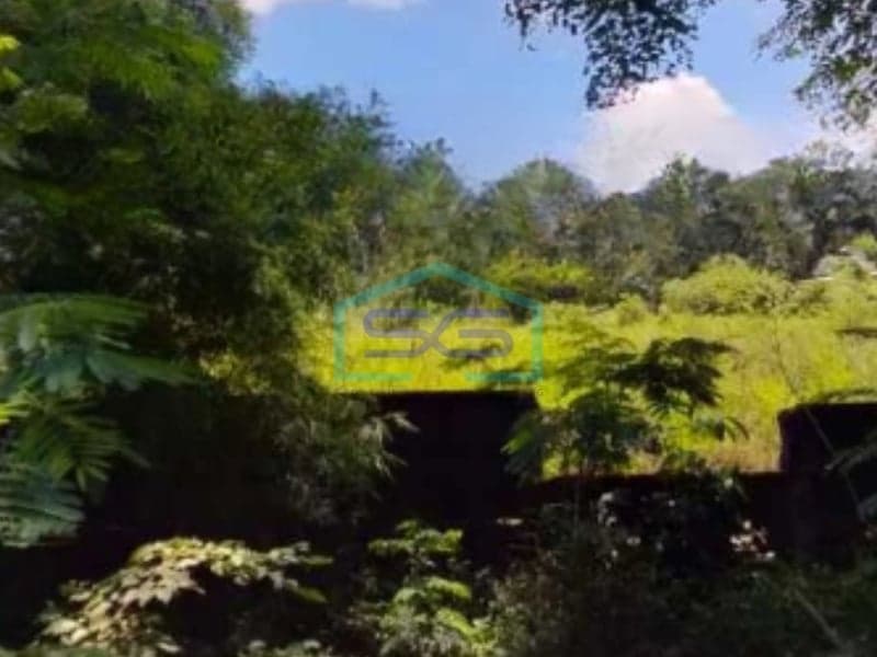 Dijual Tanah Luas 10000 m² Bebas Banjir di Tangerang Selatan