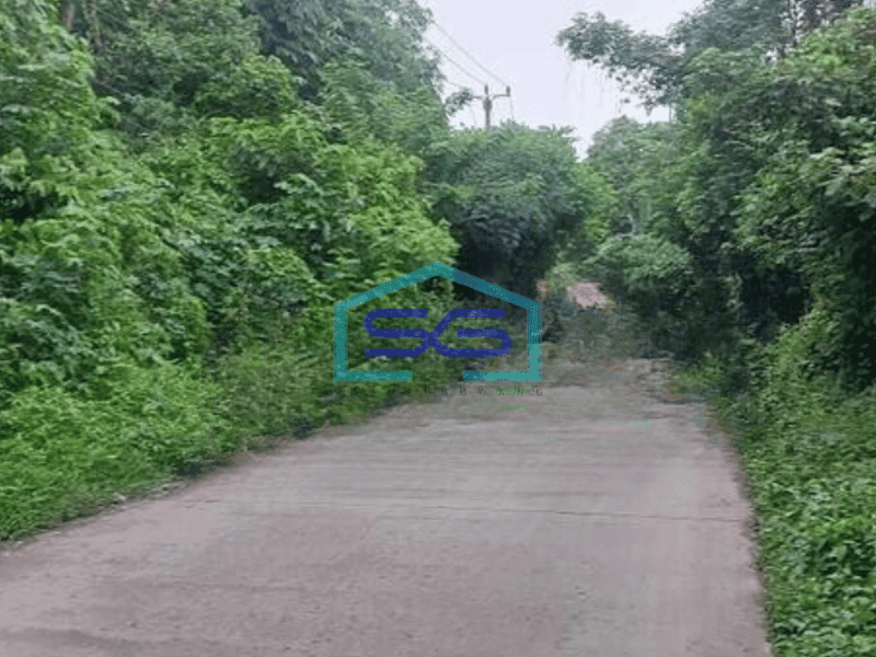 Dijual Tanah Cocok Untuk Gudang Luas Curug Tangerang