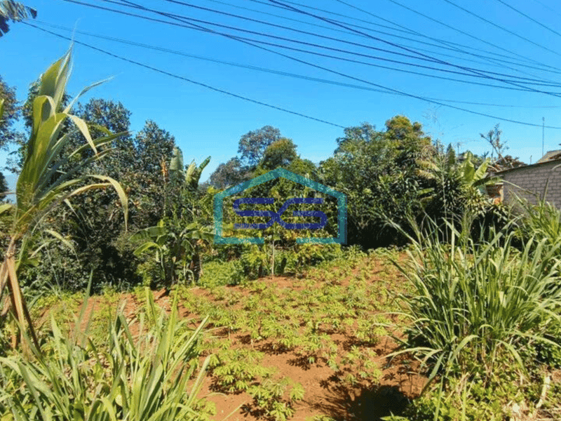 Dijual Tanah Lokasi Di Pinggir Jalan Ciambar Sukabumi