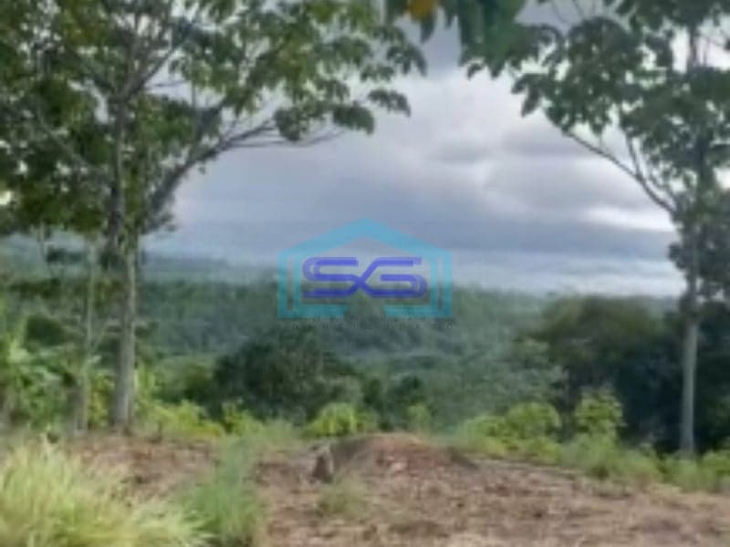 Dijual Tanah Desa Cibadak Sukamakmur Jongol Bogor SHM Luas 3500m2