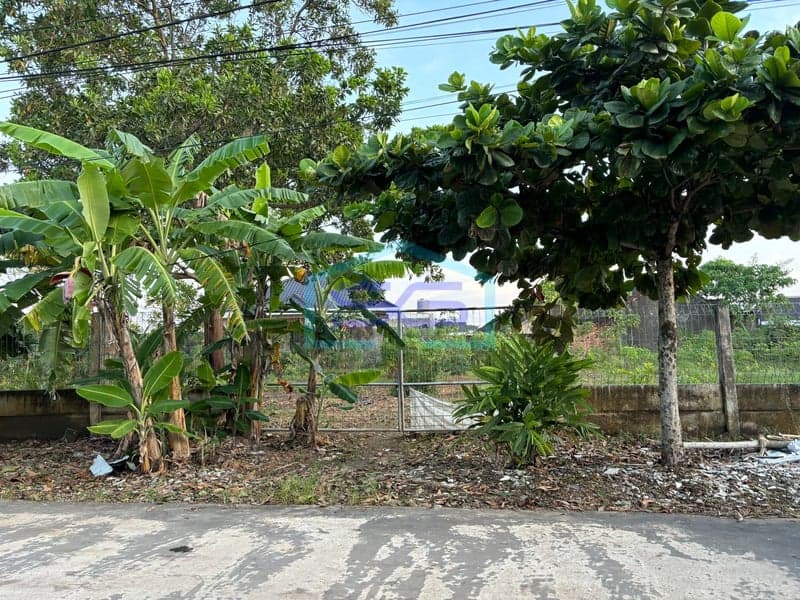 Dijual Tanah di Kota Palembang, Sumatera Selatan Luas 1200m²