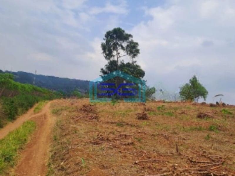 Dijual Tanah Di Sentul Citeureup Bogor Luas Tanah 105 Hektar