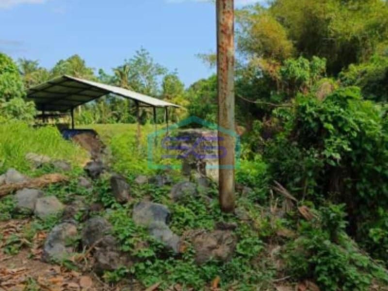 Land for Sale with Mount Agung View Karangasem Bali 20,000 sqm Affordable Price Investment Opportunity