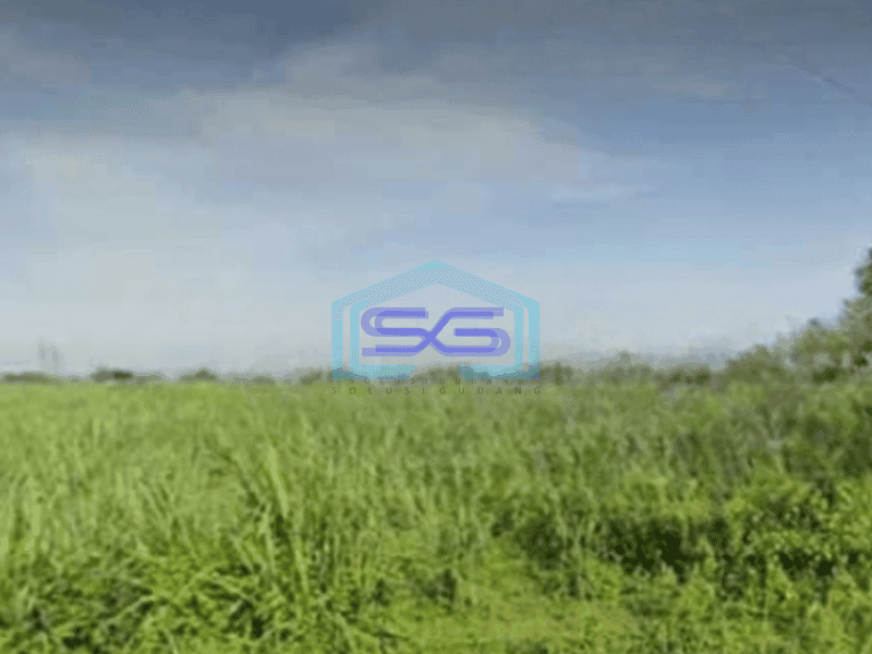 Dijual Tanah Luas 33000 m² Lokasi Bebas Banjir di Mojoagung Jombang Jawa Timur