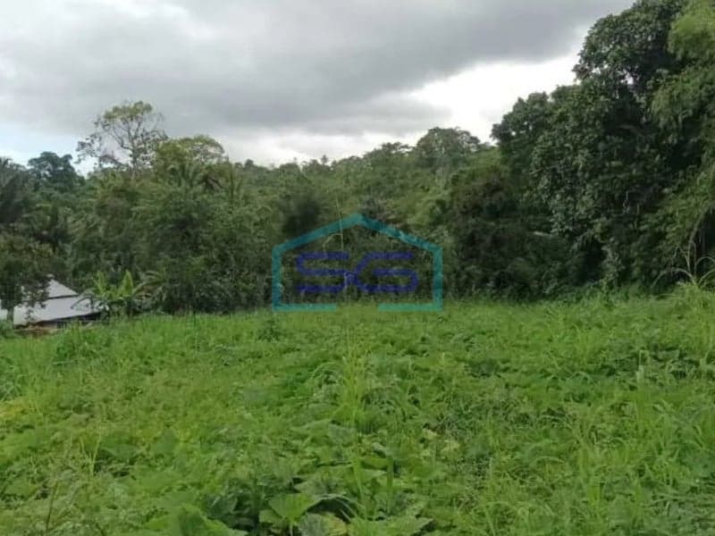 For Sale Land in Airmadidi, North Minahasa North Sulawesi Land Area 200000 m²