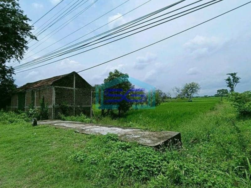 Dijual Tanah Murah Nol Jl Raya Besar Balongpanggang Gresik Cocok Untuk Pabrik Dan Gudang LT 4200m2