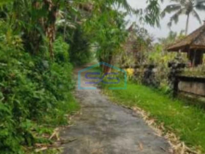 Land for Sale Near Jatiluwih, Soka Tabanan Bali - Land Area 2300sqm