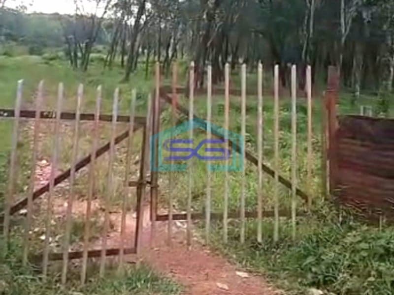 Dijual Tanah Lahan Kebun di Air Batu Talang Kelapa Banyuasin Sumatera Selatan LT 48000m2