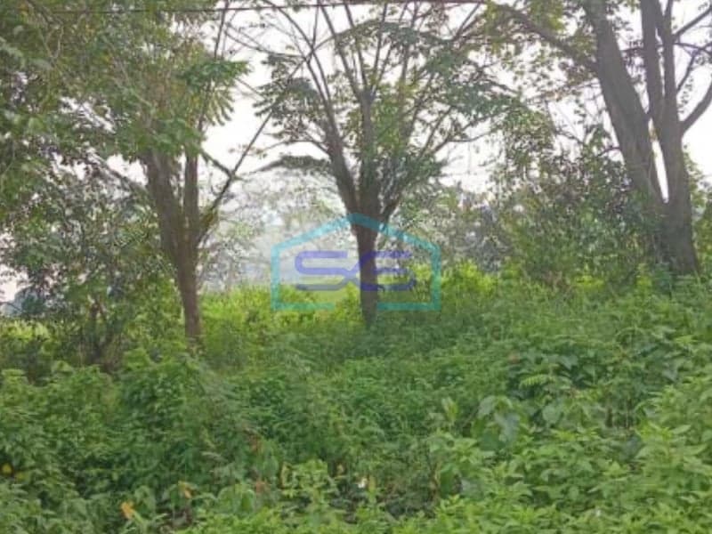 Dijual Tanah Lokasi Strategis Bebas Banjir di Cikande Serang Banten