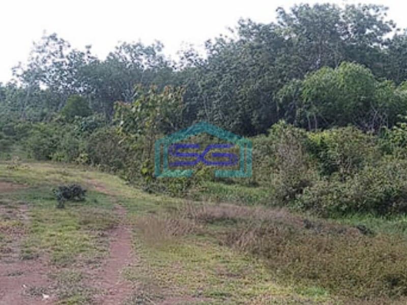 Dijual Tanah di Kab Banyuasin Sumatera Selatan Luas Tanah 21000m2