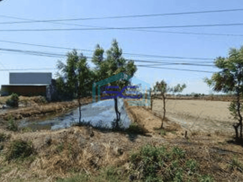 Dijual Tanah Nol Jl Raya Provinsi Gresik Dekat Kota Dan Tol Cocok Untuk Labruk Gudang Dan Perdagangan