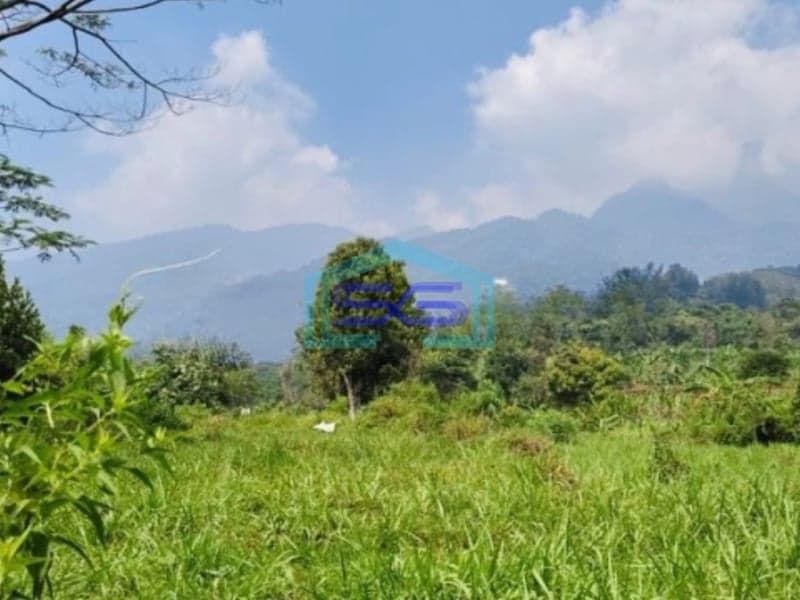 Dijual Tanah di Ciapus Taman Sari Bogor Luas Tanah 100000m2