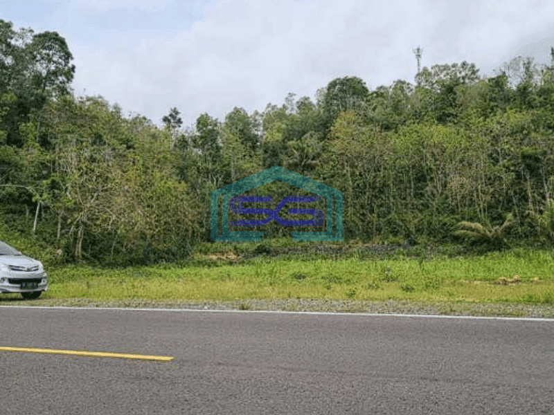 Dijual Tanah Murah Area Girisubo Gunung Kidul Yogyakarta LT 17500m2
