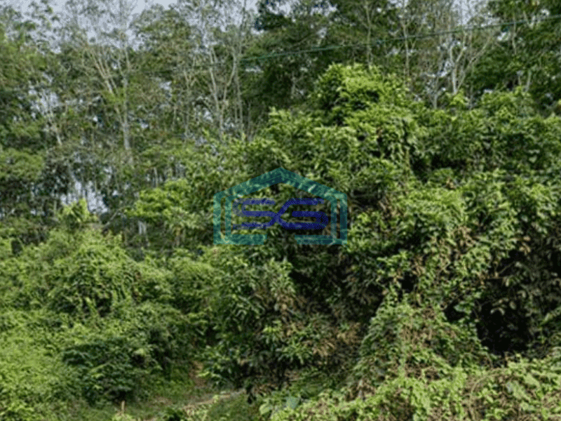 Dijual Tanah Strategis di Pinggir Jalan Raya Lingkis Rambutan Sumatera Selatan LT 4000m2