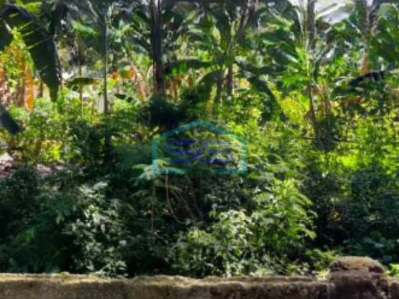 Dijual Tanah Luas 10000 m² Lokasi Bebas Banjir di Tangerang Selatan