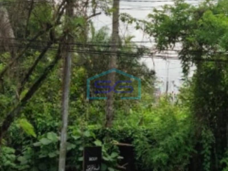 Dijual Tanah Luas 2540 m² Lokasi Bebas Banjir di Sleman Yogyakarta