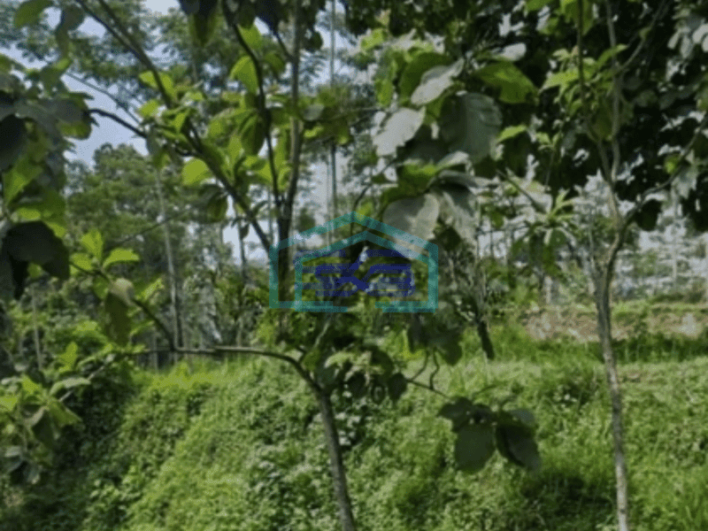 Dijual Tanah Lokasi Dayurejo Pandaan Luas Tanah 2800 m²