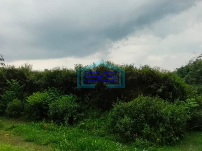 Dijual Tanah Jl Sukamakmur Air Batu Banyuasin Palembang Luas 11 Hektar