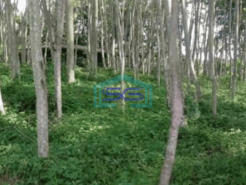 Dijual Tanah Lahan industri Karangjati Semarang 120000m2