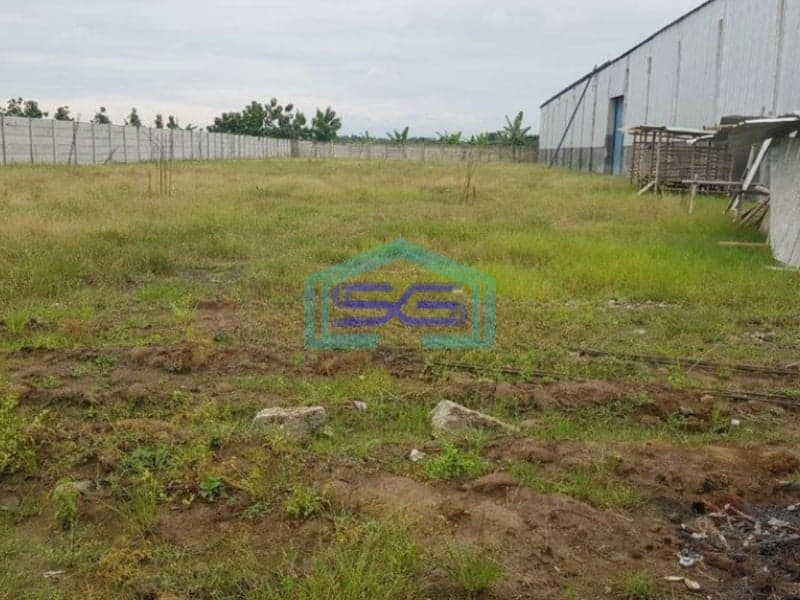 Disewakan Tanah Lokasi Demak Godong LT 3000 m²