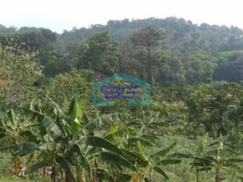 Dijual Tanah Jalan Raya Sumarecon Gn Geulis Sukaraja Bogor LT 14000m2