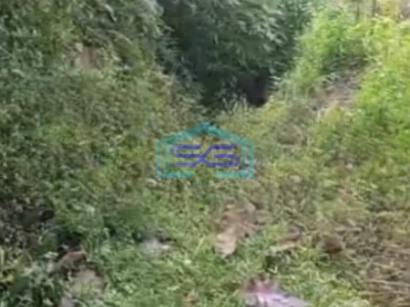 Dijual Tanah Lokasi Strategis Luas 150000 m² Lokasi Karanganyar Jawa Tengah