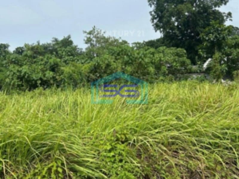 Dijual Tanah Murah Di Balaraja Barat Tangerang Strategis LT 7,5 Ha