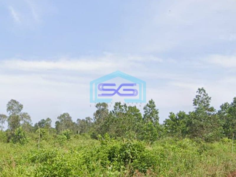 Dijual Tanah Luas 40.000 m² Tanah Subur di Kawasan Berkembang Mariana, Banyuasin Sumatera Selatan