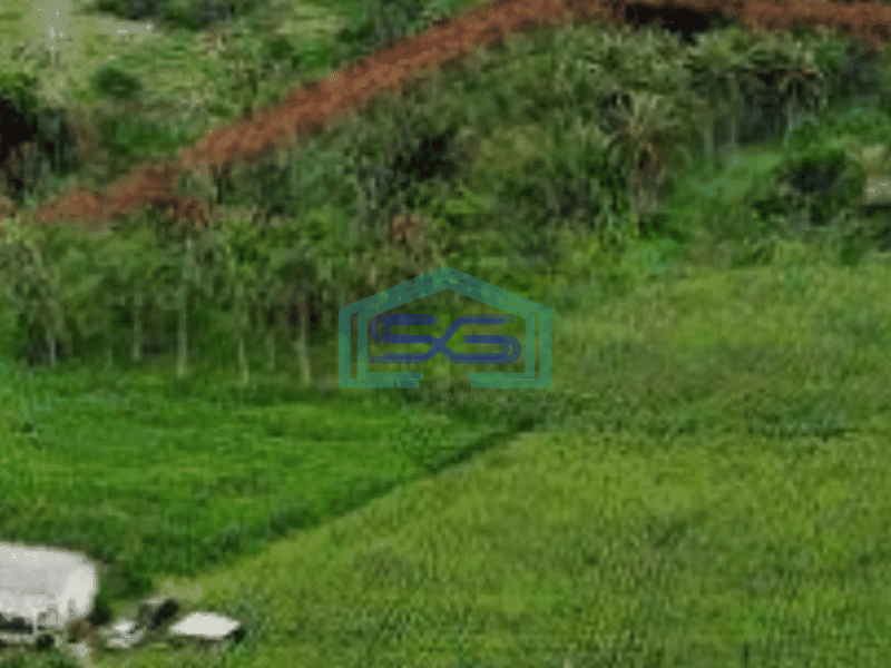 Dijual Tanah di Badung Bali Luas Tanah 60773 m² Lokasi Strategis