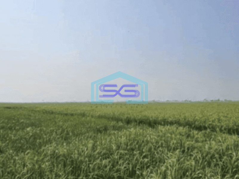 Dijual Tanah Luas 78000 m² di Mauk Tangerang